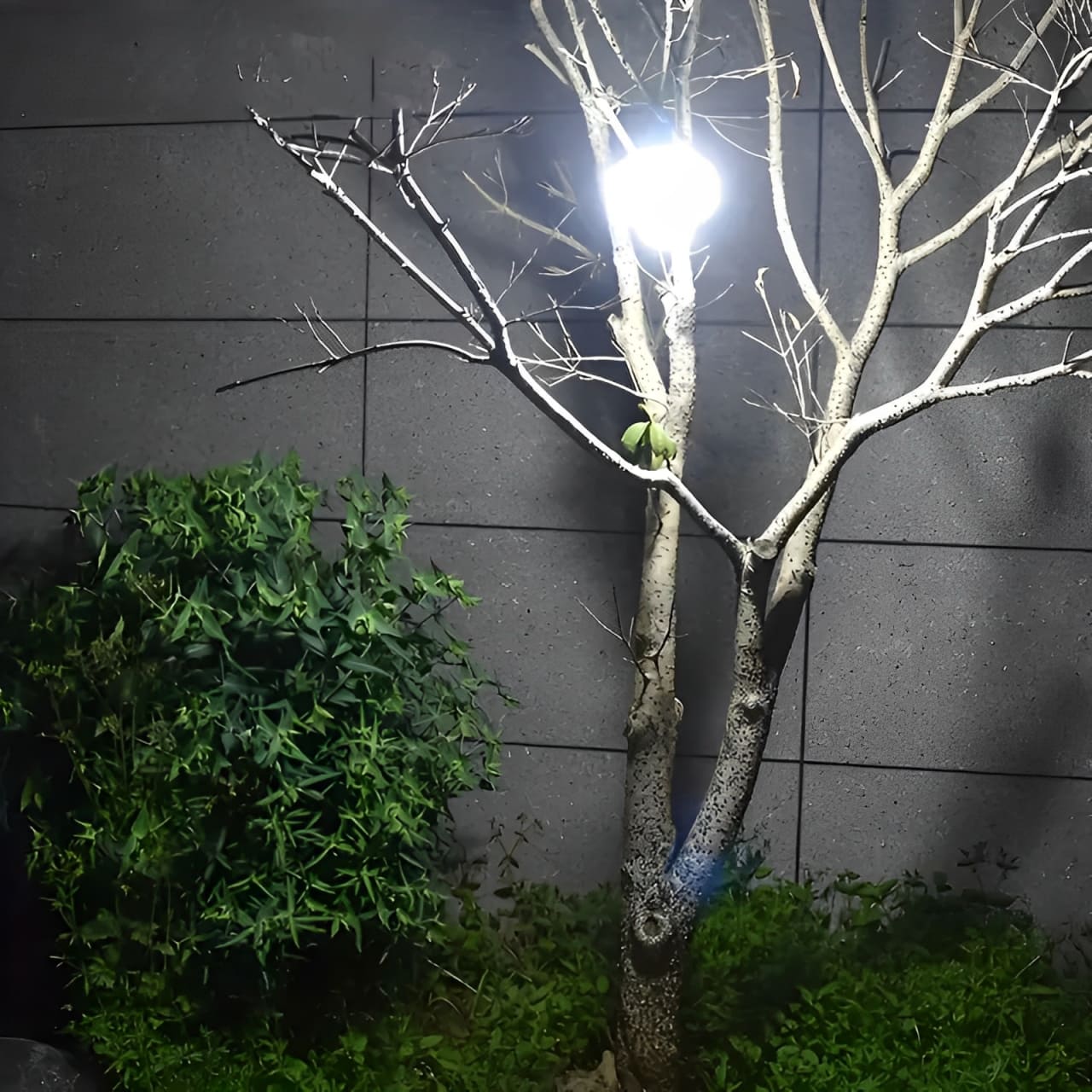 Lâmpada Solar 2 em 1 – Recarregável via Solar e USB